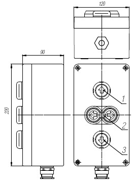 Пост кнопочный взрывобезопасный. Габарит 220х120х90